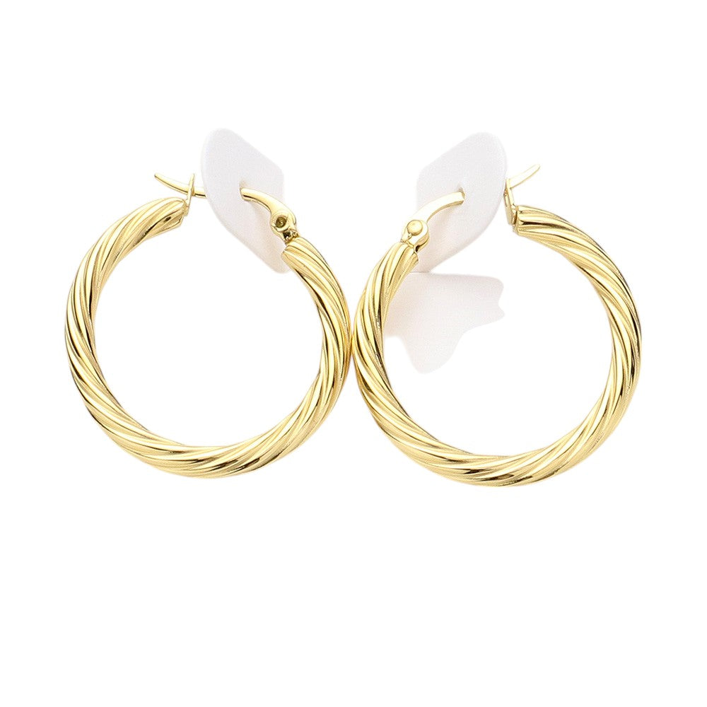 Twisted Stainless Steel Hoop Pin Catch Earrings