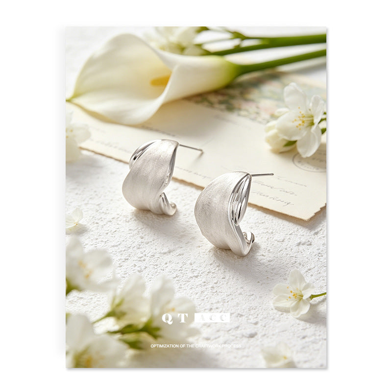 Women's Shaped Sier Special Interest Light Luxury High-grade Stud Earrings