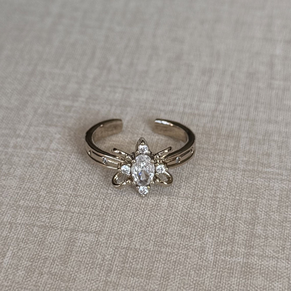 Special Interest Light Luxury Hollow Zircon Index Finger Female French Rings