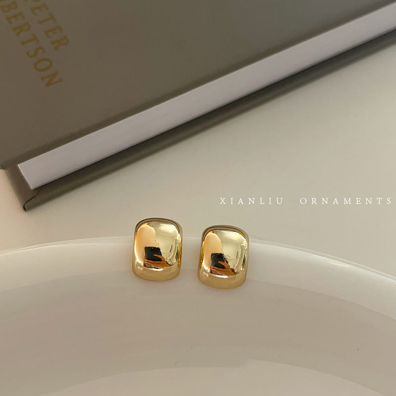 Women's Matte Metal For Light Luxury Minority Design Stud Earrings
