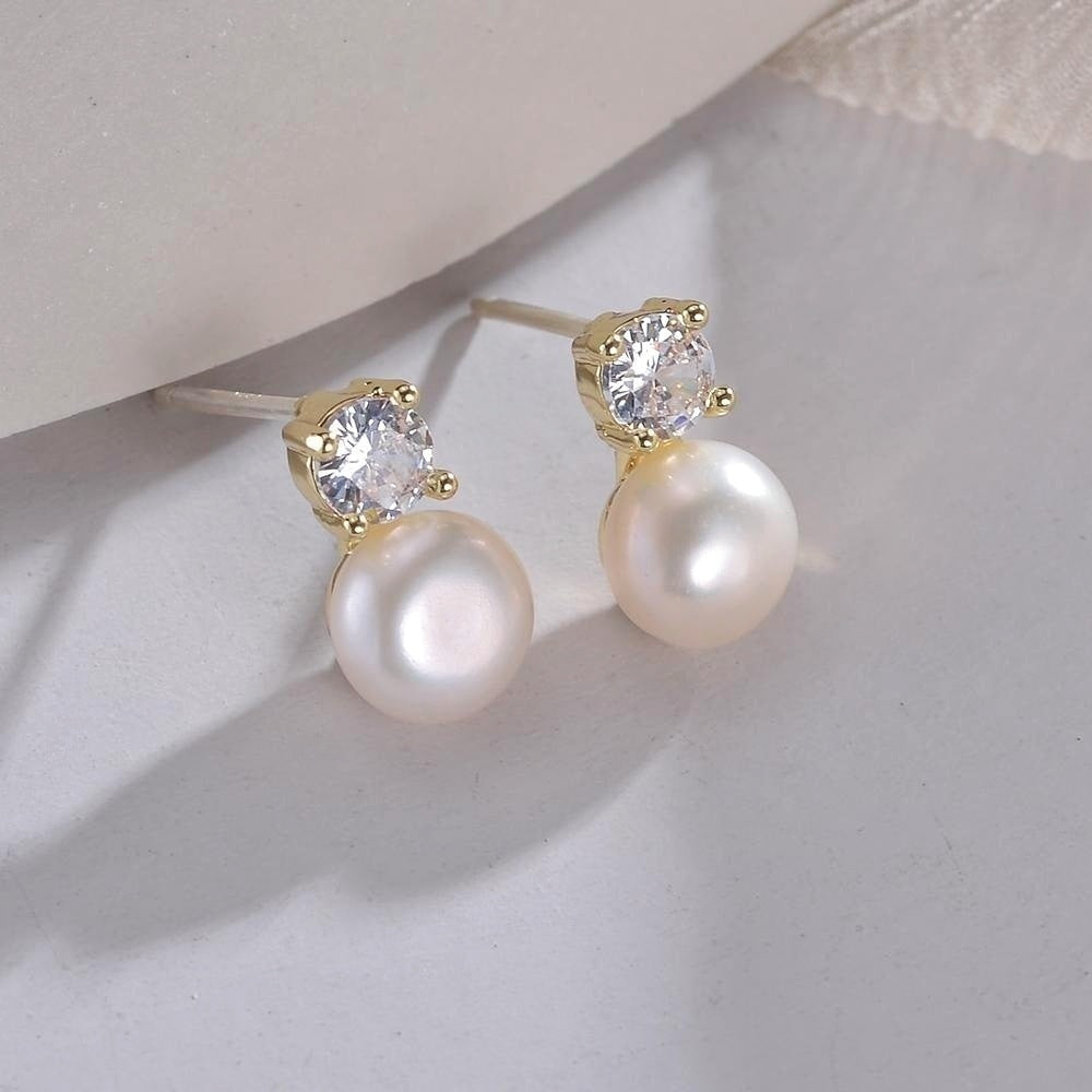 Sense Light Luxury Temperament Sterling Sier Needle Ear Clip