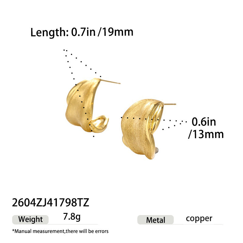 Women's Shaped Sier Special Interest Light Luxury High-grade Stud Earrings