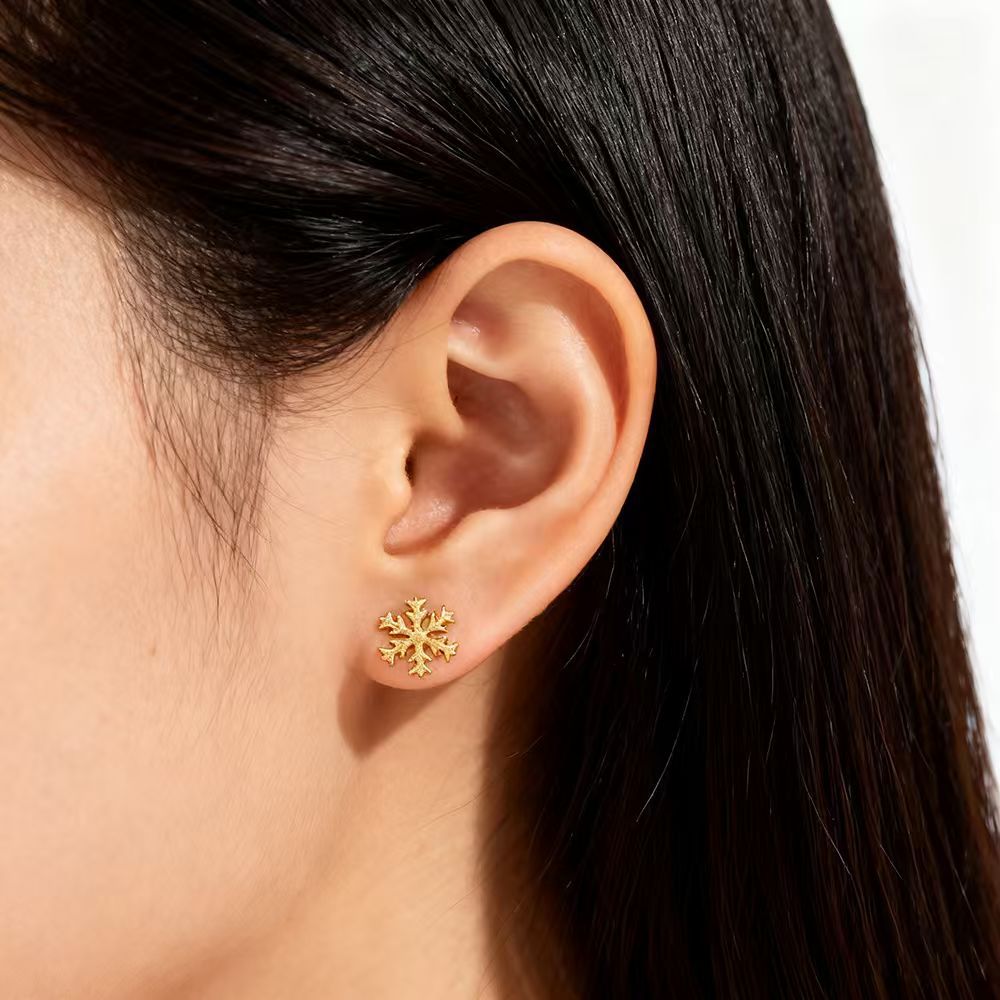 Women's Snowflake Ear Zinc Alloy Electroplated Light Luxury For Stud Earrings