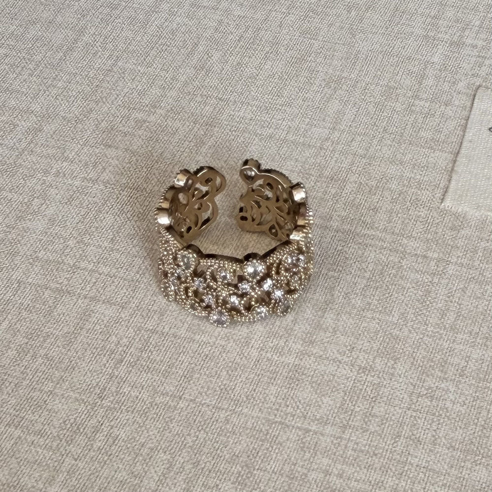 Special Interest Light Luxury Hollow Zircon Index Finger Female French Rings