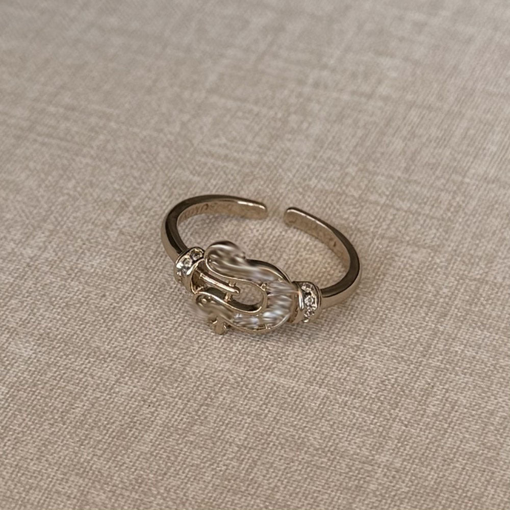 Special Interest Light Luxury Hollow Zircon Index Finger Female French Rings