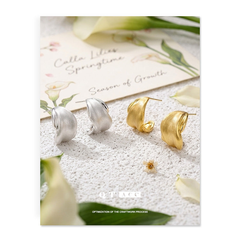 Women's Shaped Sier Special Interest Light Luxury High-grade Stud Earrings