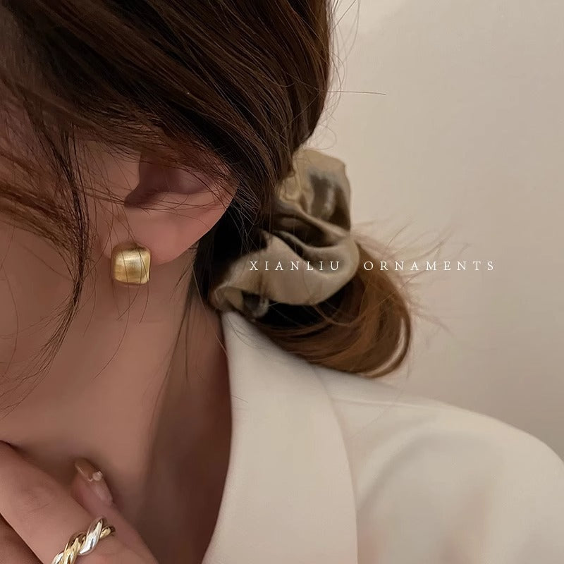 Women's Matte Metal For Light Luxury Minority Design Stud Earrings