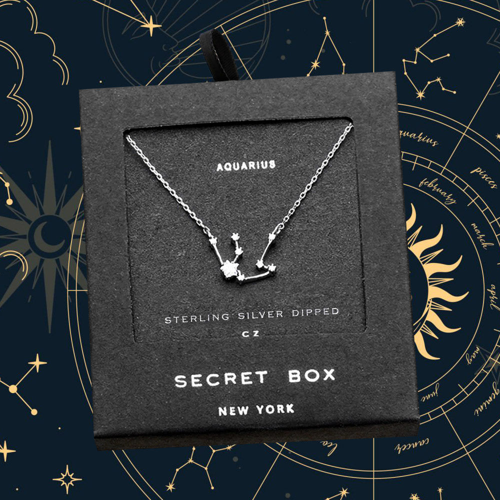 SECRET BOX_Sterling Silver Dipped CZ Aquarius Zodiac Sign Pendant Necklace