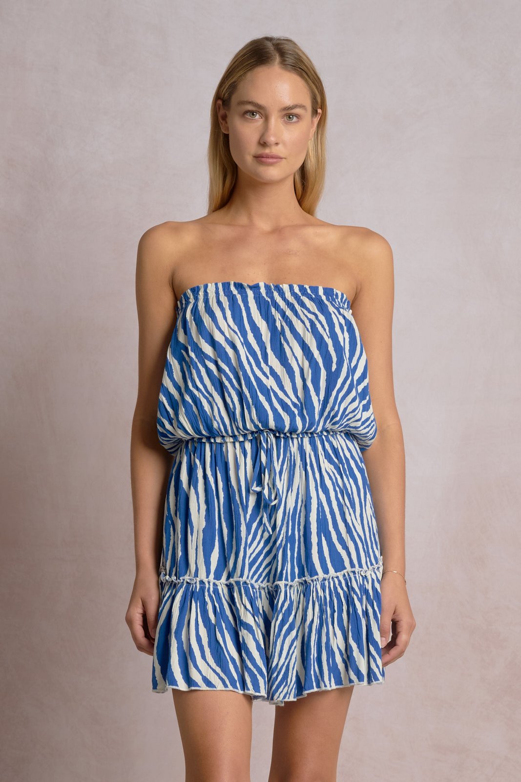 Zebra Mini Dress Blue Zebra