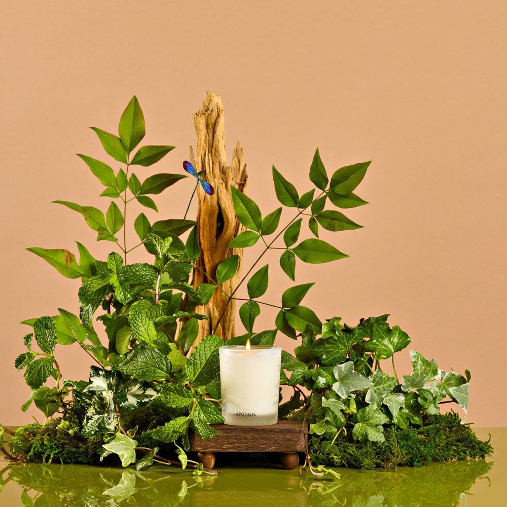 Wild Mint and Ivy Votive Candle