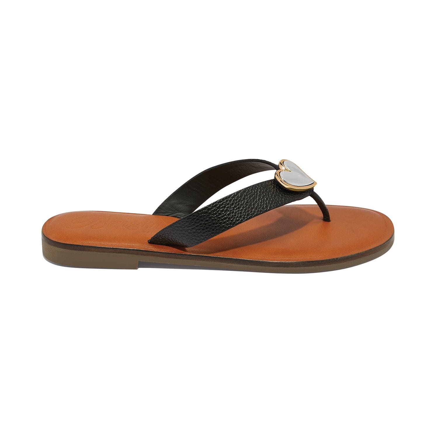 Amigo Flat Thongs