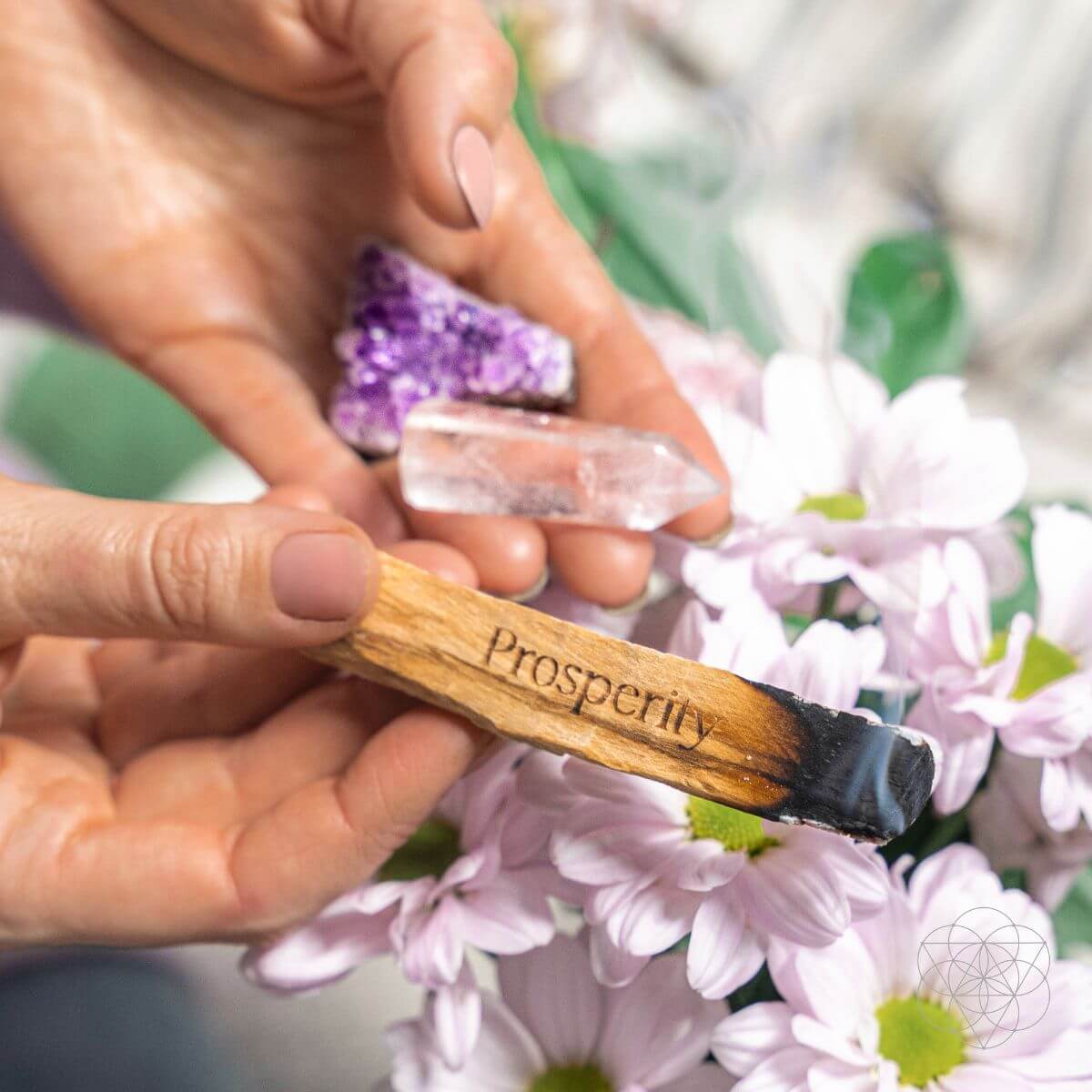 Attract Abundance - Premium Manifestation Smudge Kit (8 Pieces) by Conscious Items at Shirley Shoppe