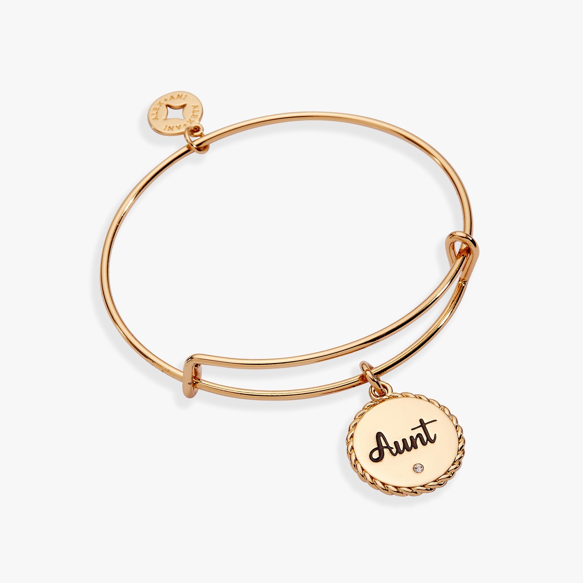 Aunt 'A Trusting Guide Forever By My Side' Charm Bangle by ALEX AND ANI at Shirley Shoppe