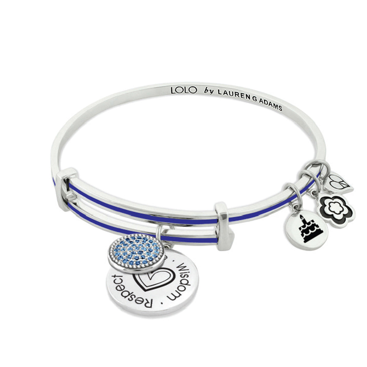 January Birthstone Color Bangle