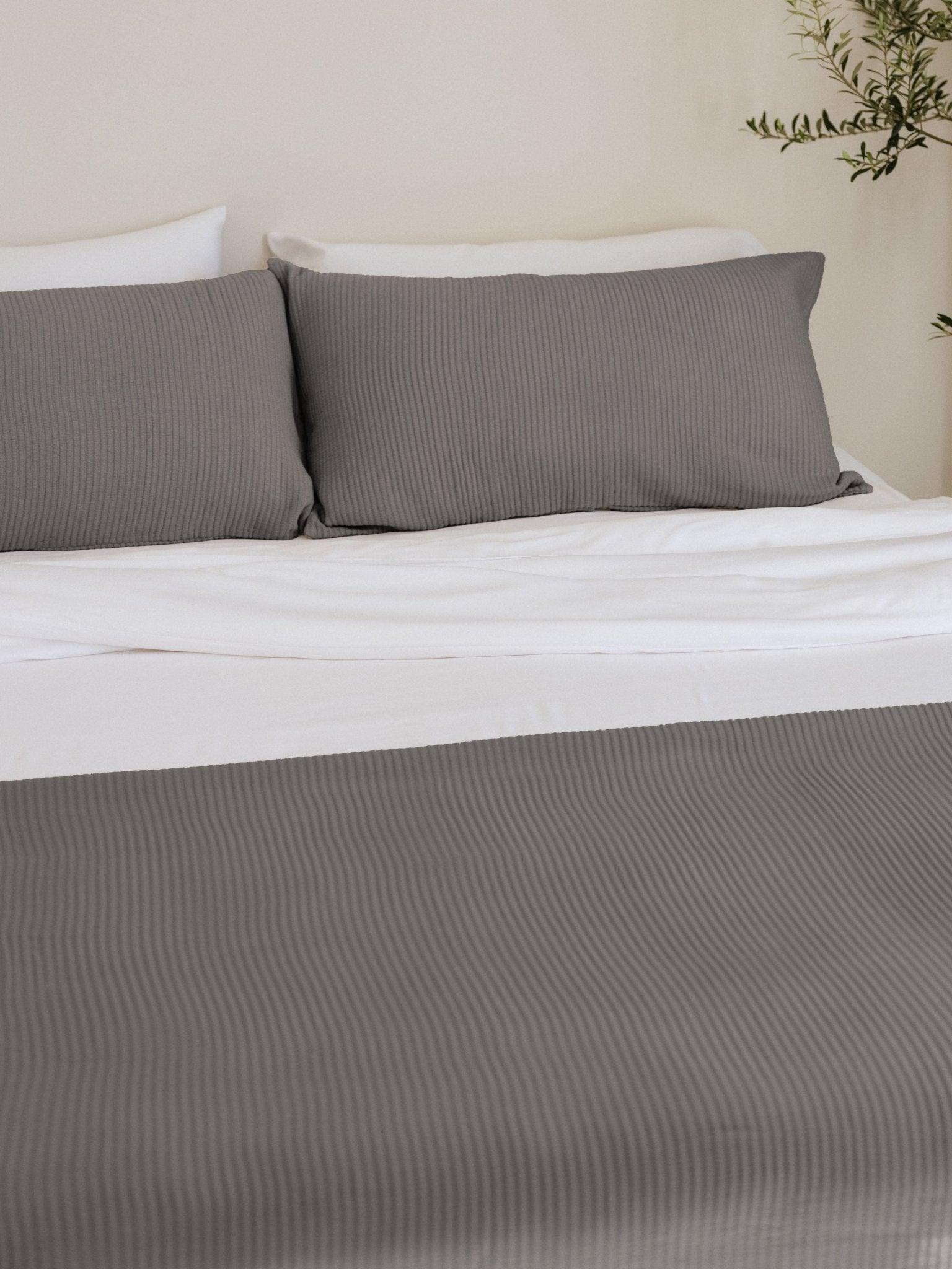 Bamboo Coverlet - Last Chance by Cozy Earth at Shirley Shoppe