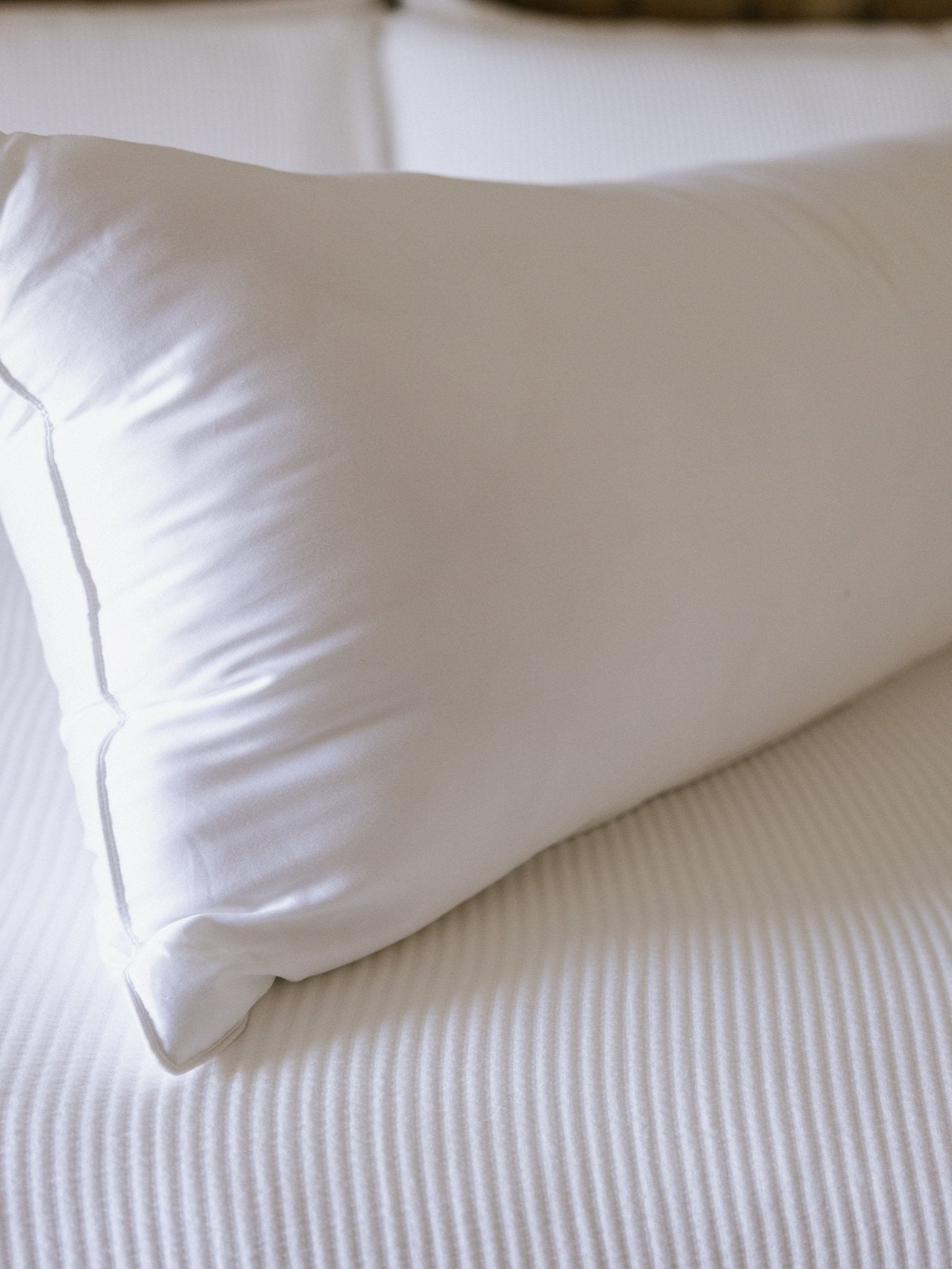 Bamboo Down Alternative Pillow by Cozy Earth at Shirley Shoppe