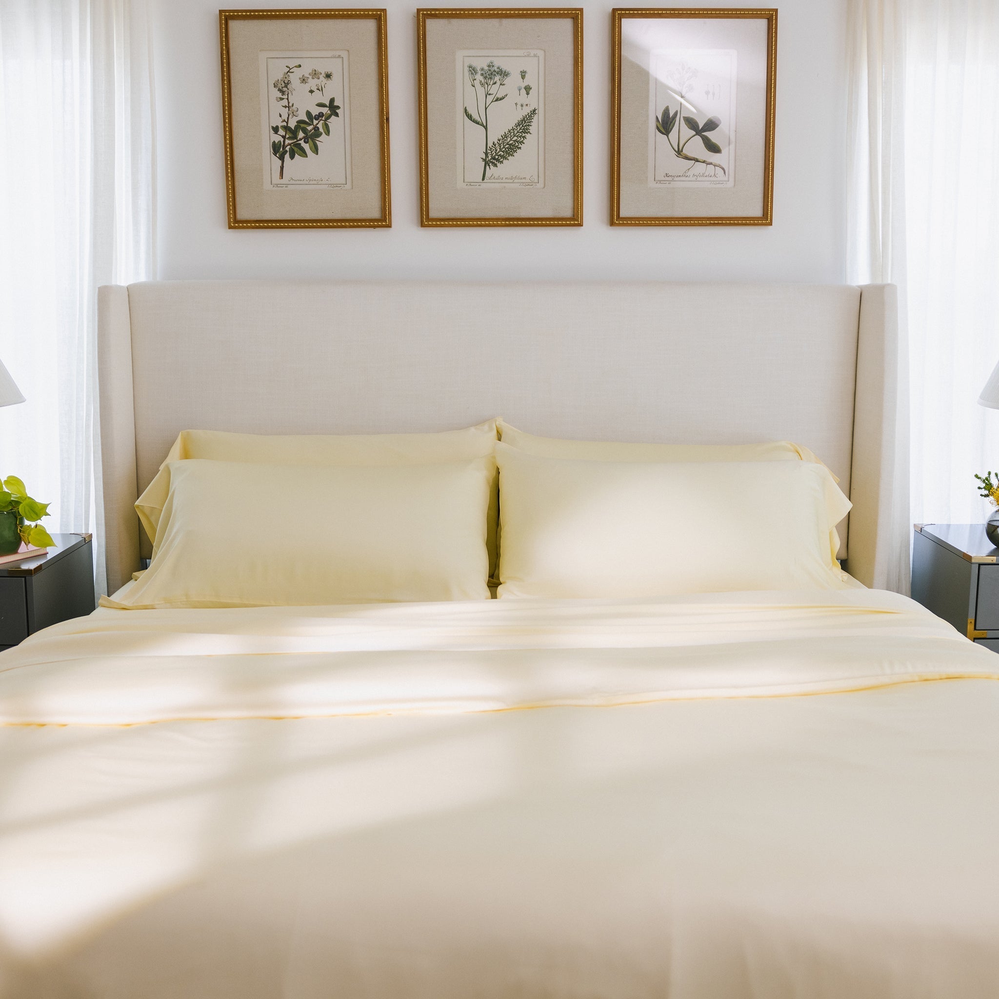 Bamboo Duvet Cover - Last Chance by Cozy Earth at Shirley Shoppe