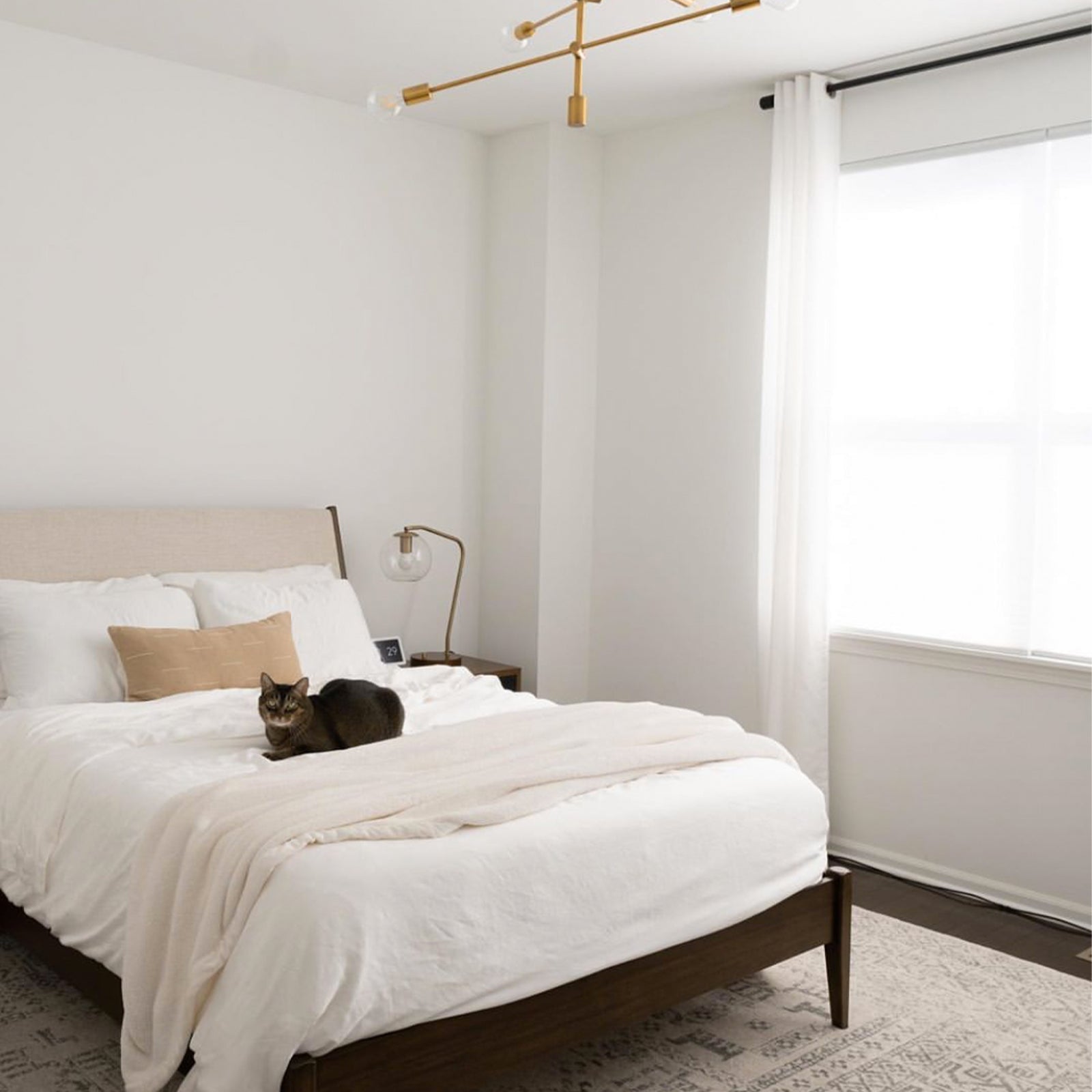 Bamboo Duvet Cover - Last Chance by Cozy Earth at Shirley Shoppe