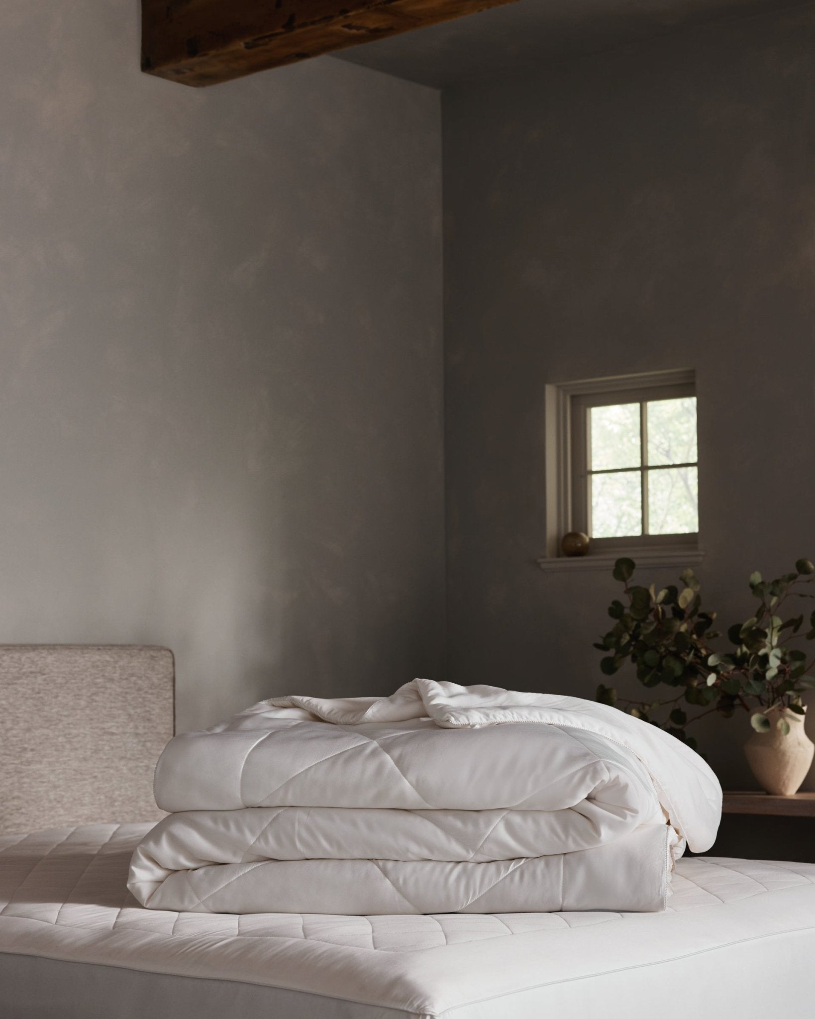 Bamboo Viscose Comforter by Cozy Earth at Shirley Shoppe