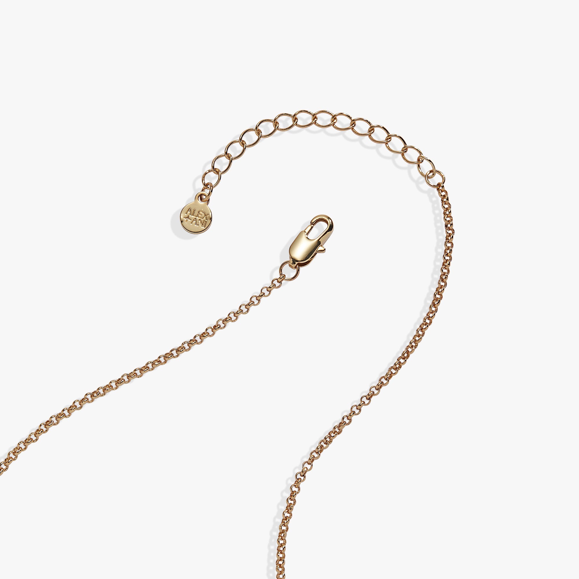 'A Reader Lives A Thousand Lives' Book Club Locket Pendant