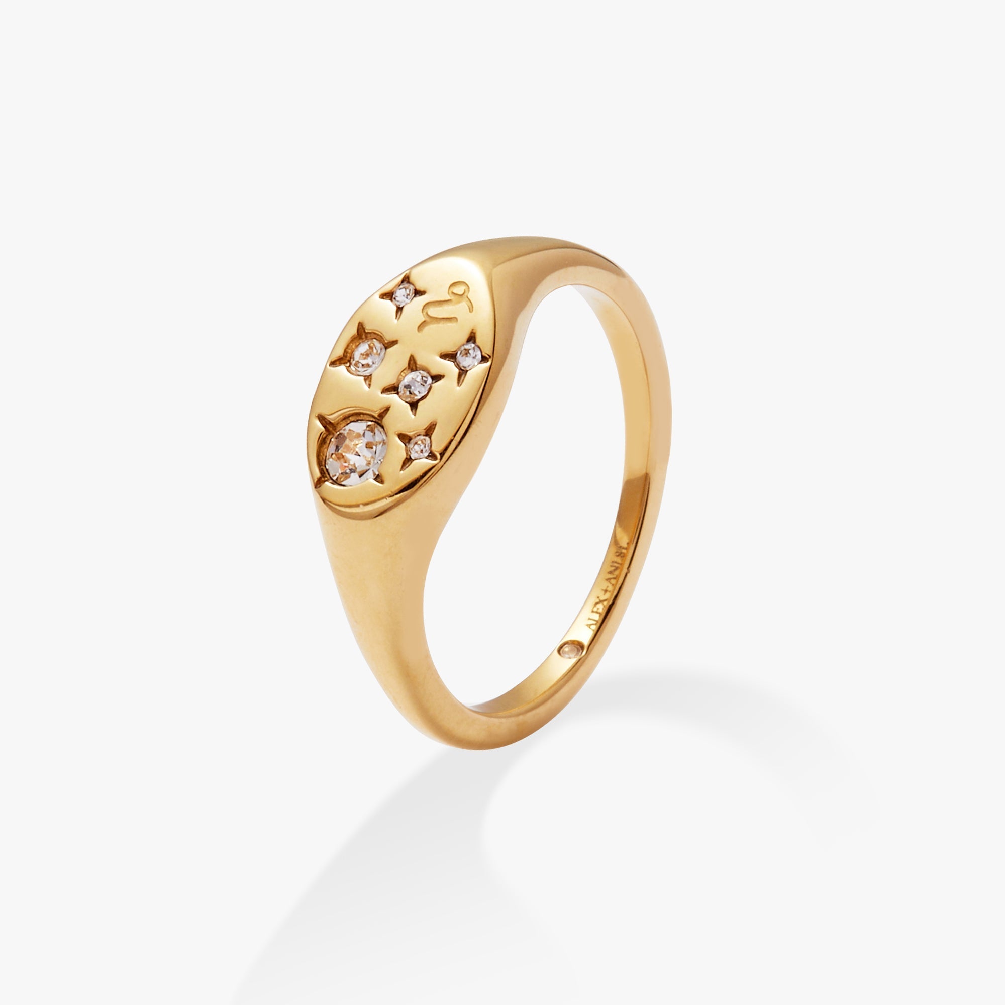 Capricorn Zodiac Ring by ALEX AND ANI at Shirley Shoppe