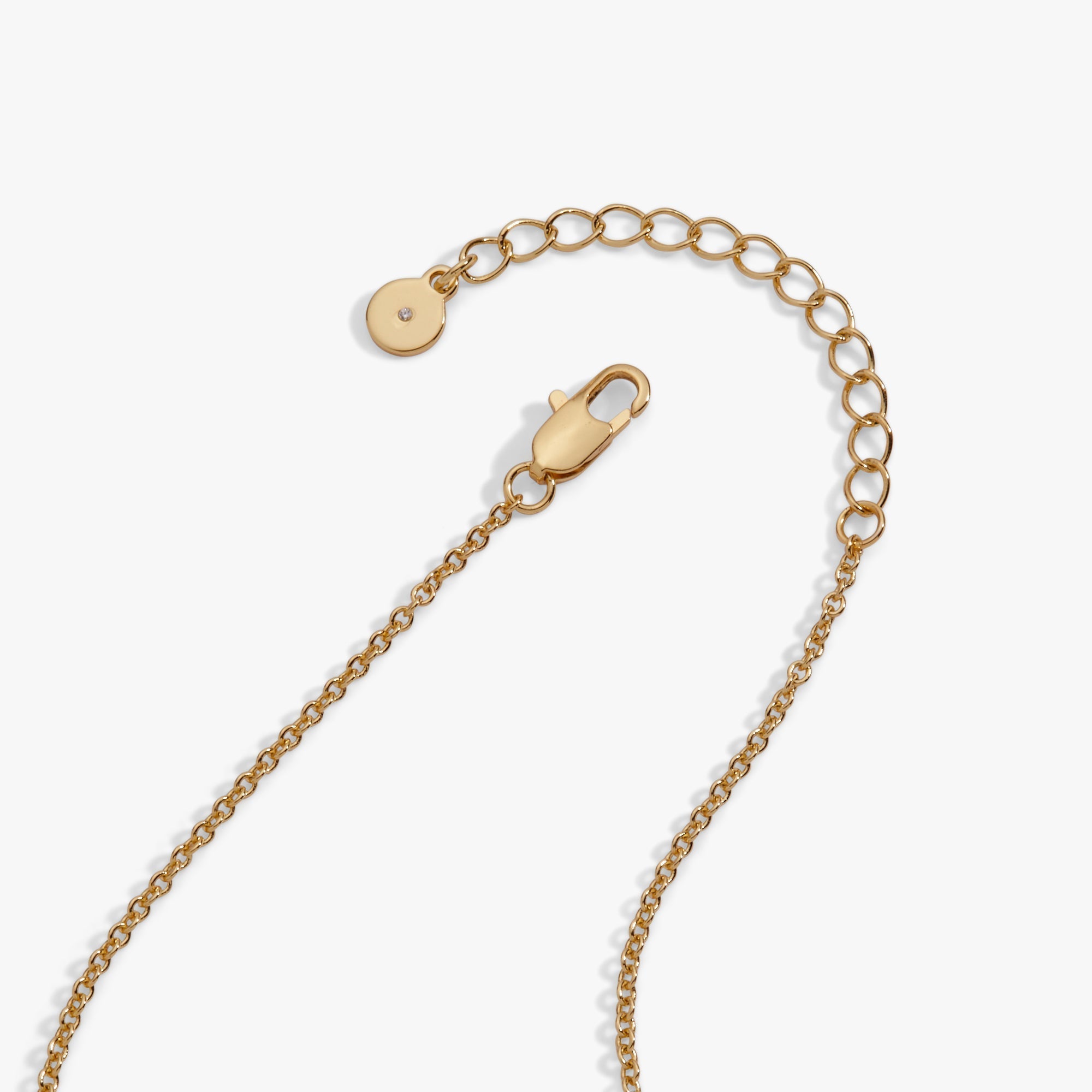 Coffee Bean 'Happiness, Wealth, Health' Engraved Pendant Necklace by ALEX AND ANI at Shirley Shoppe