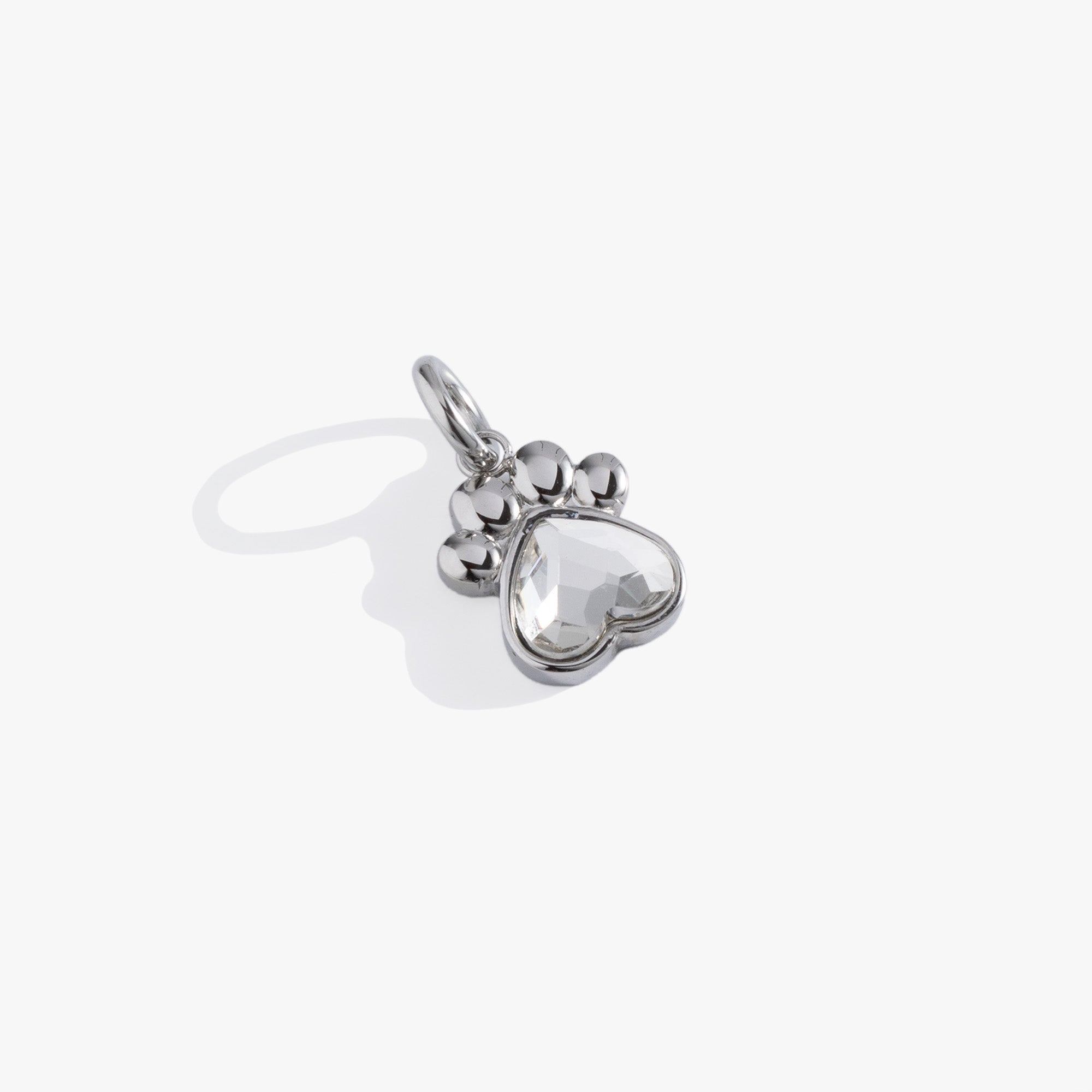 Crystal Paw Interchangeable Charm by ALEX AND ANI at Shirley Shoppe