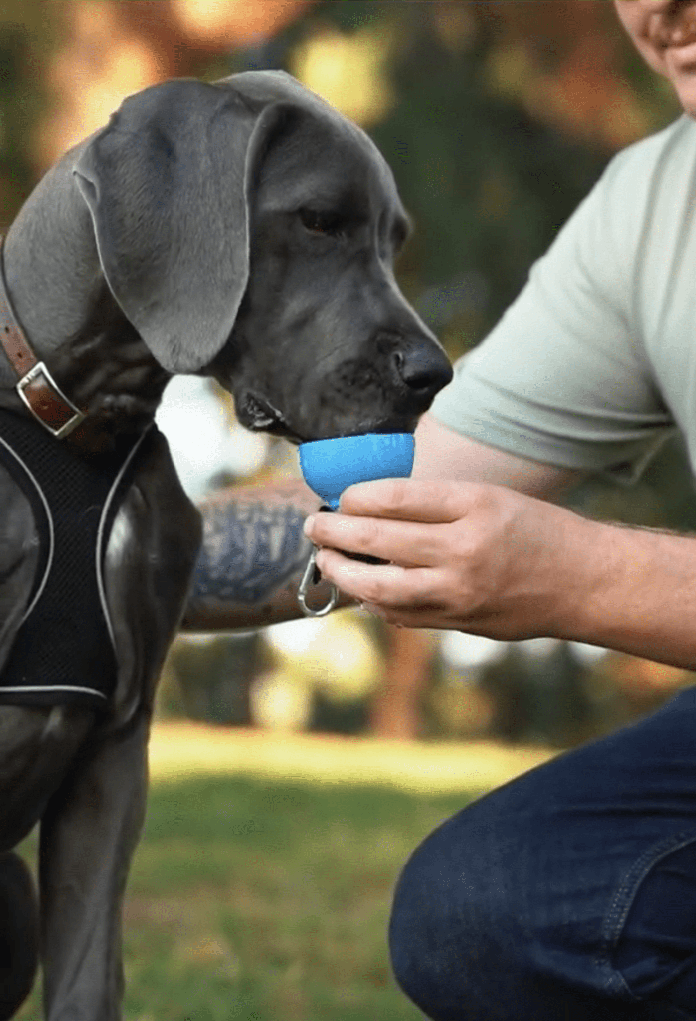 Dog Water Bottle: Never Walk Alone by Dog is Good at Shirley Shoppe