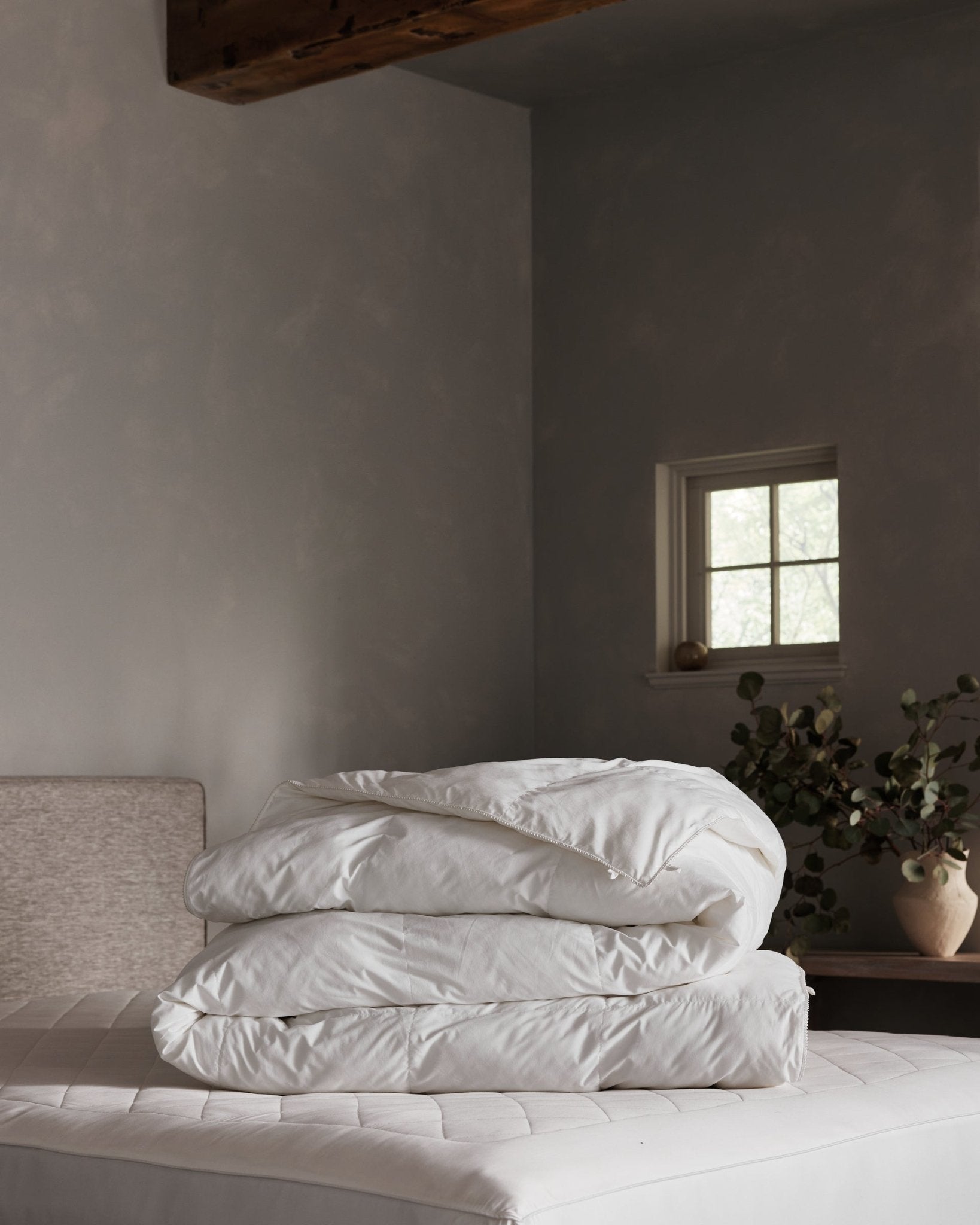 Down Alternative Comforter by Cozy Earth at Shirley Shoppe