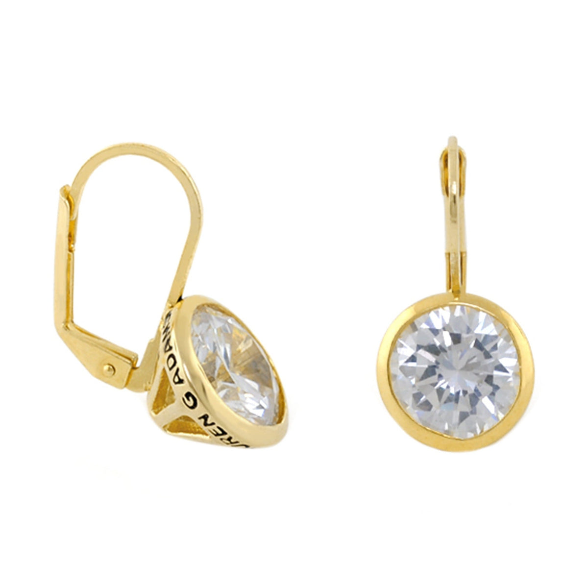 Dazzling Drop Earrings