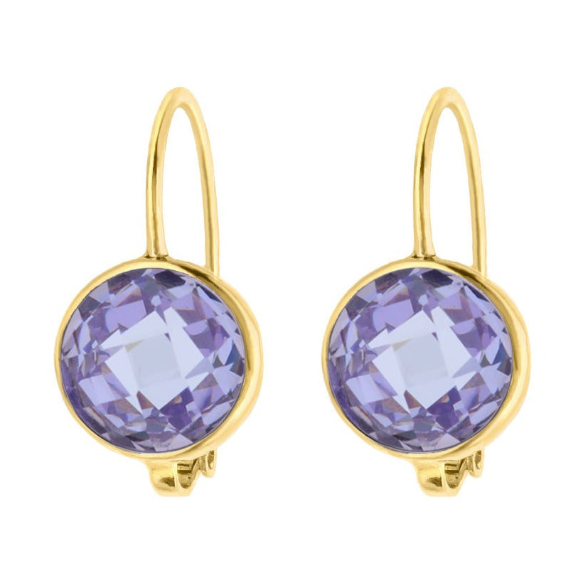 February Birthstone Color Earrings