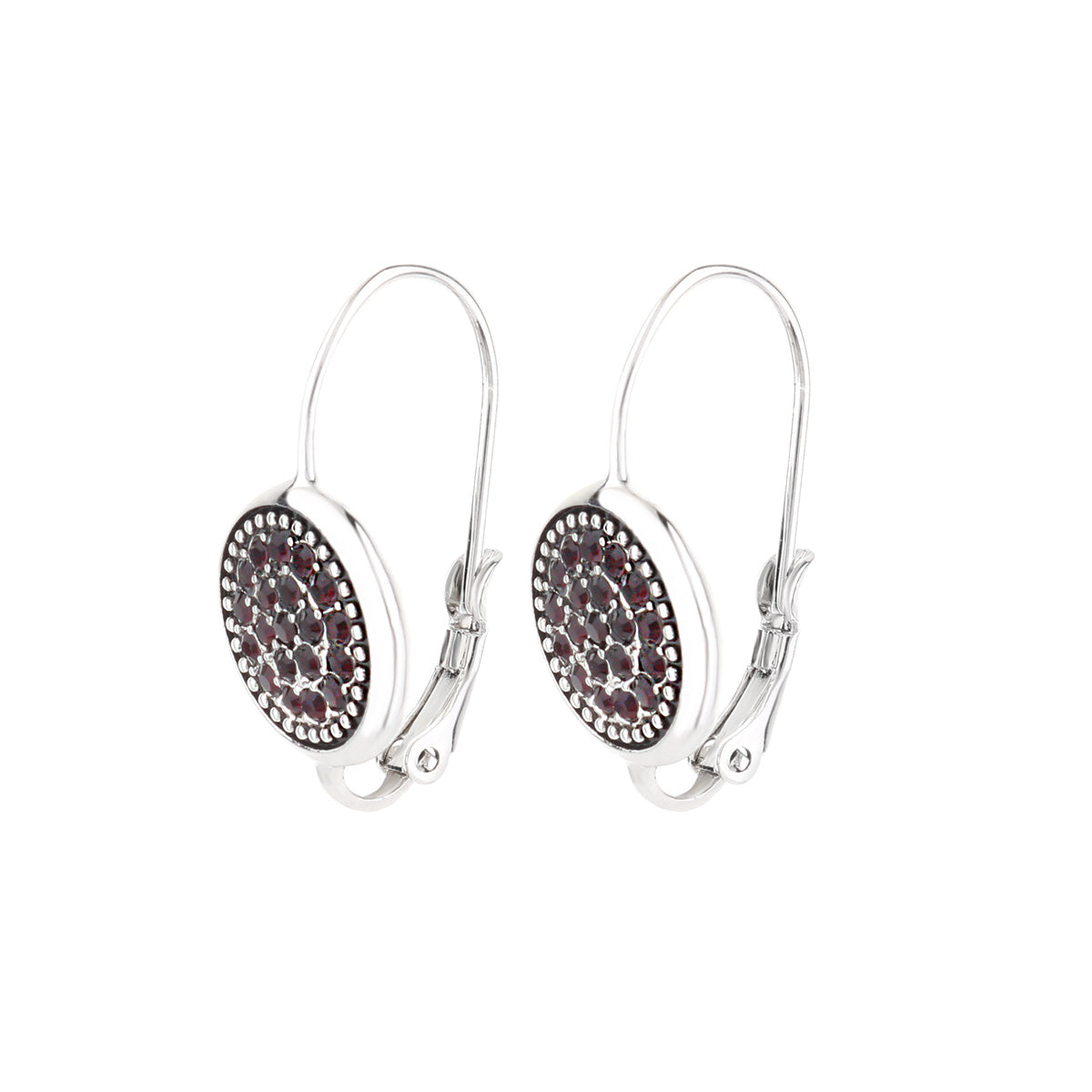 January Birthstone Color Earrings