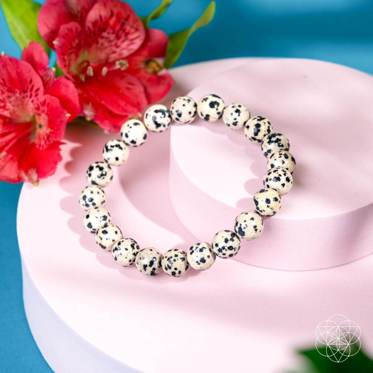 Emotional Detox - Dalmatian Jasper Bracelet by Conscious Items at Shirley Shoppe