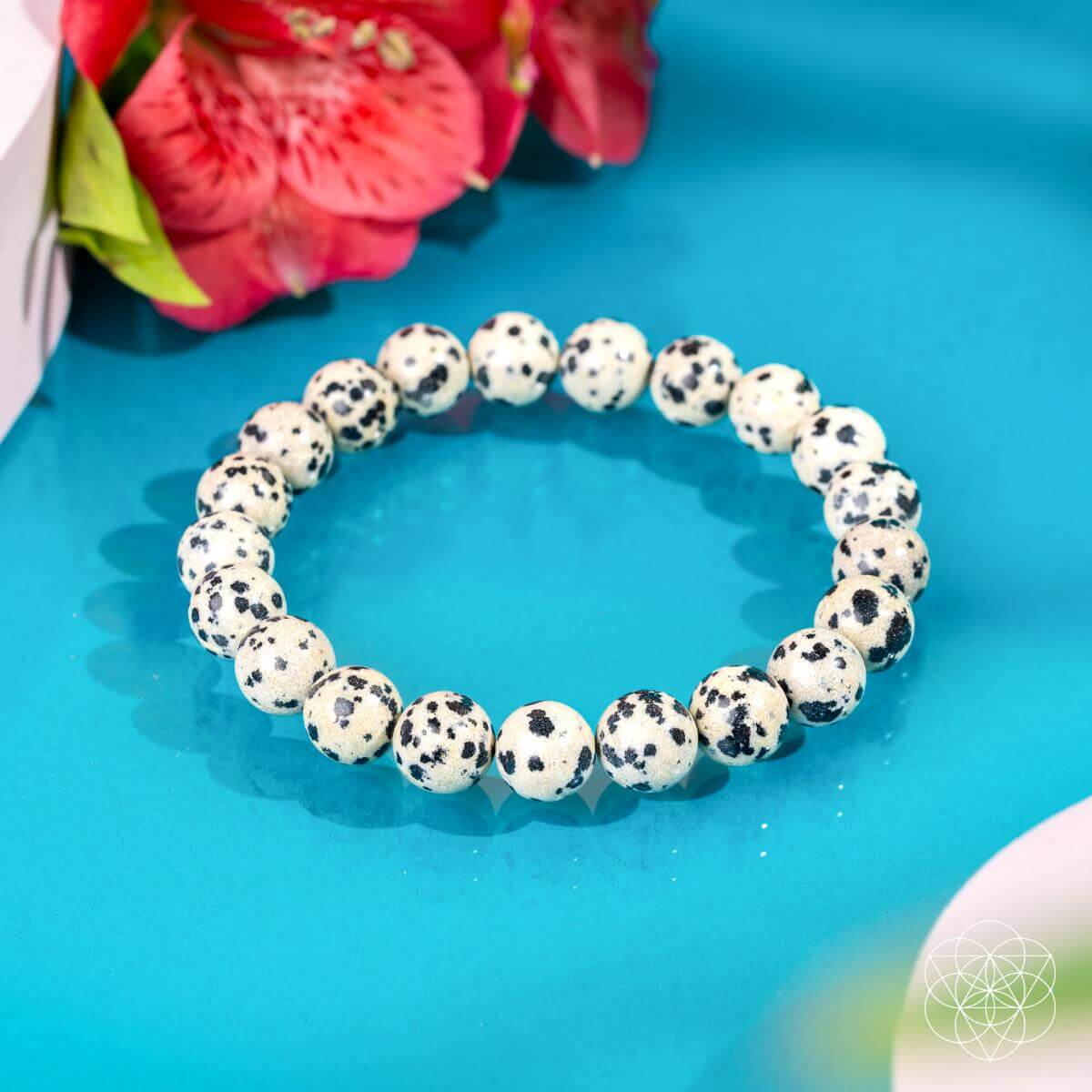 Emotional Detox - Dalmatian Jasper Bracelet by Conscious Items at Shirley Shoppe