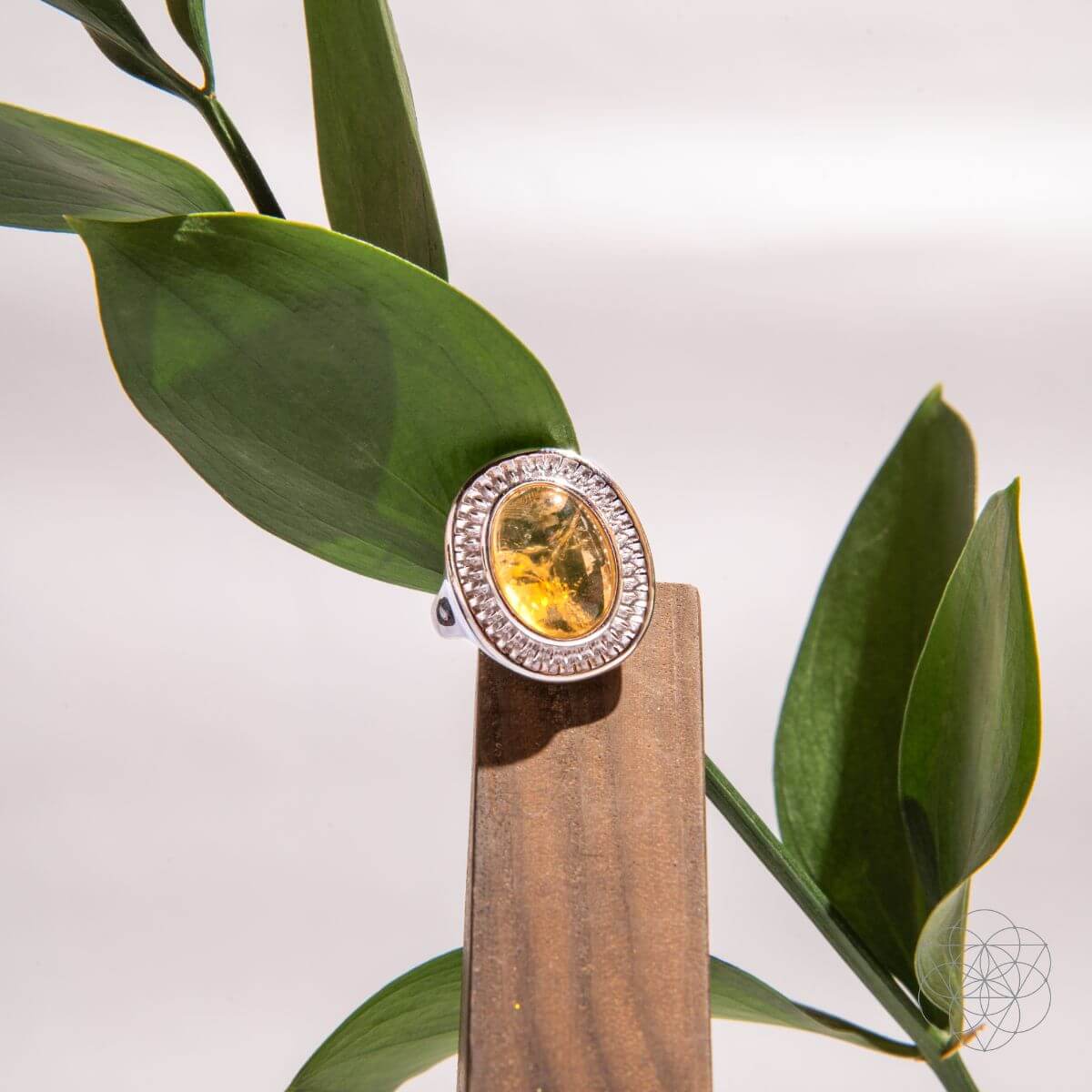 Eye of The Sun - Silver Aura Ring of Attraction by Conscious Items at Shirley Shoppe