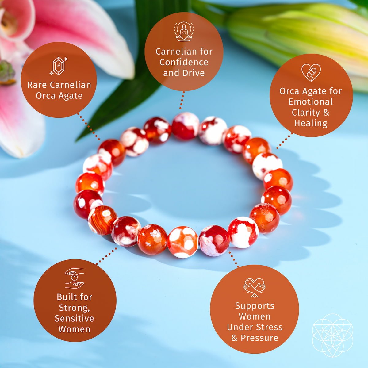 Feminine Force – Carnelian Orca Agate Bracelet by Conscious Items at Shirley Shoppe