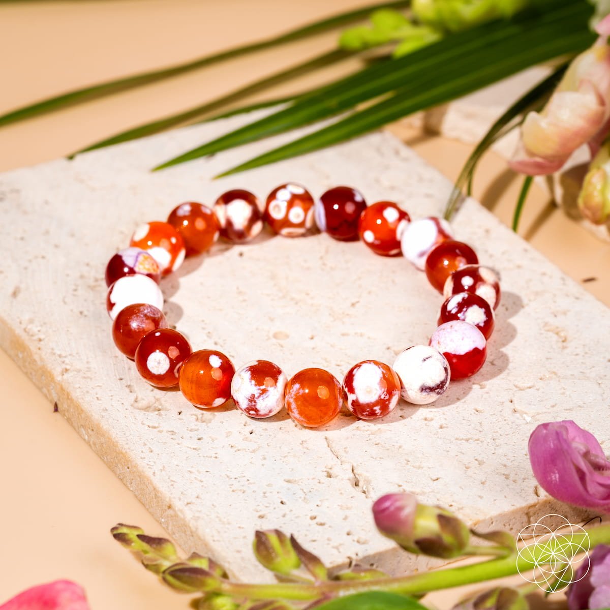 Feminine Force – Carnelian Orca Agate Bracelet by Conscious Items at Shirley Shoppe