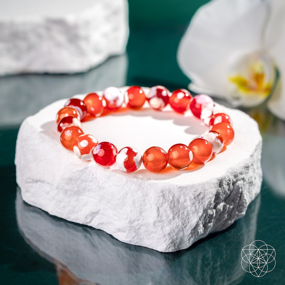 Feminine Force – Carnelian Orca Agate Bracelet by Conscious Items at Shirley Shoppe