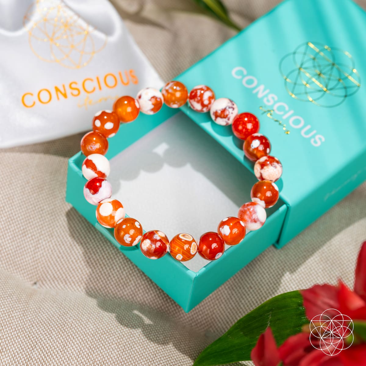 Feminine Force – Carnelian Orca Agate Bracelet by Conscious Items at Shirley Shoppe
