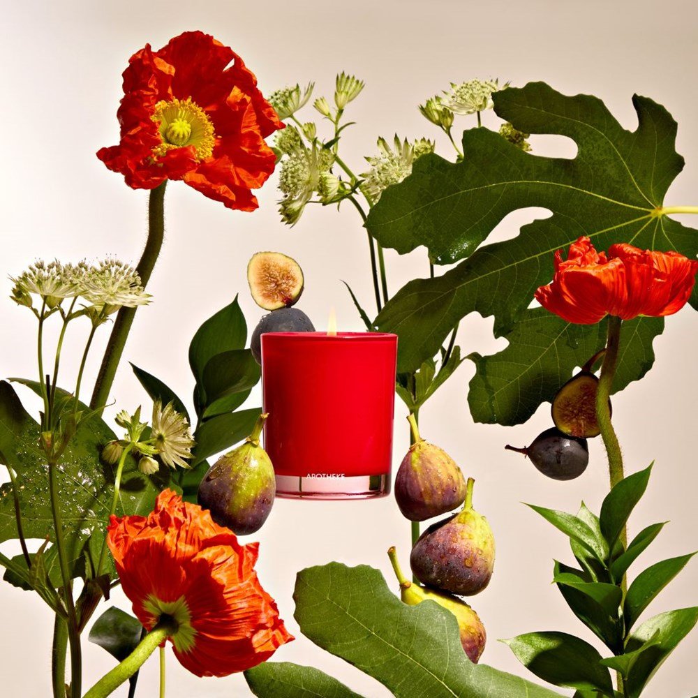 Fig and Olive Leaf Petite Candle by APOTHEKE at Shirley Shoppe