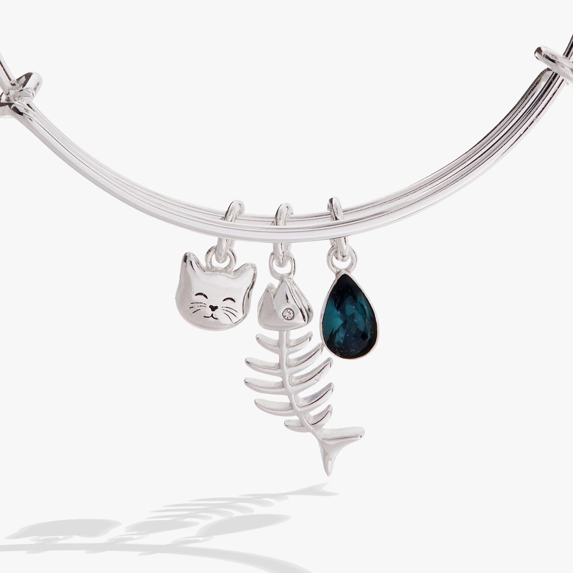 Fish Bone Cat Bangle by ALEX AND ANI at Shirley Shoppe