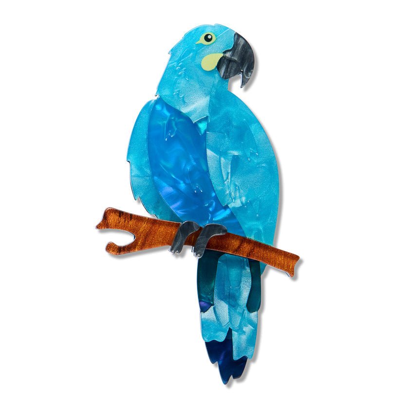 Glaucous Macaw Brooch by Erstwilder by Quirks! at Shirley Shoppe