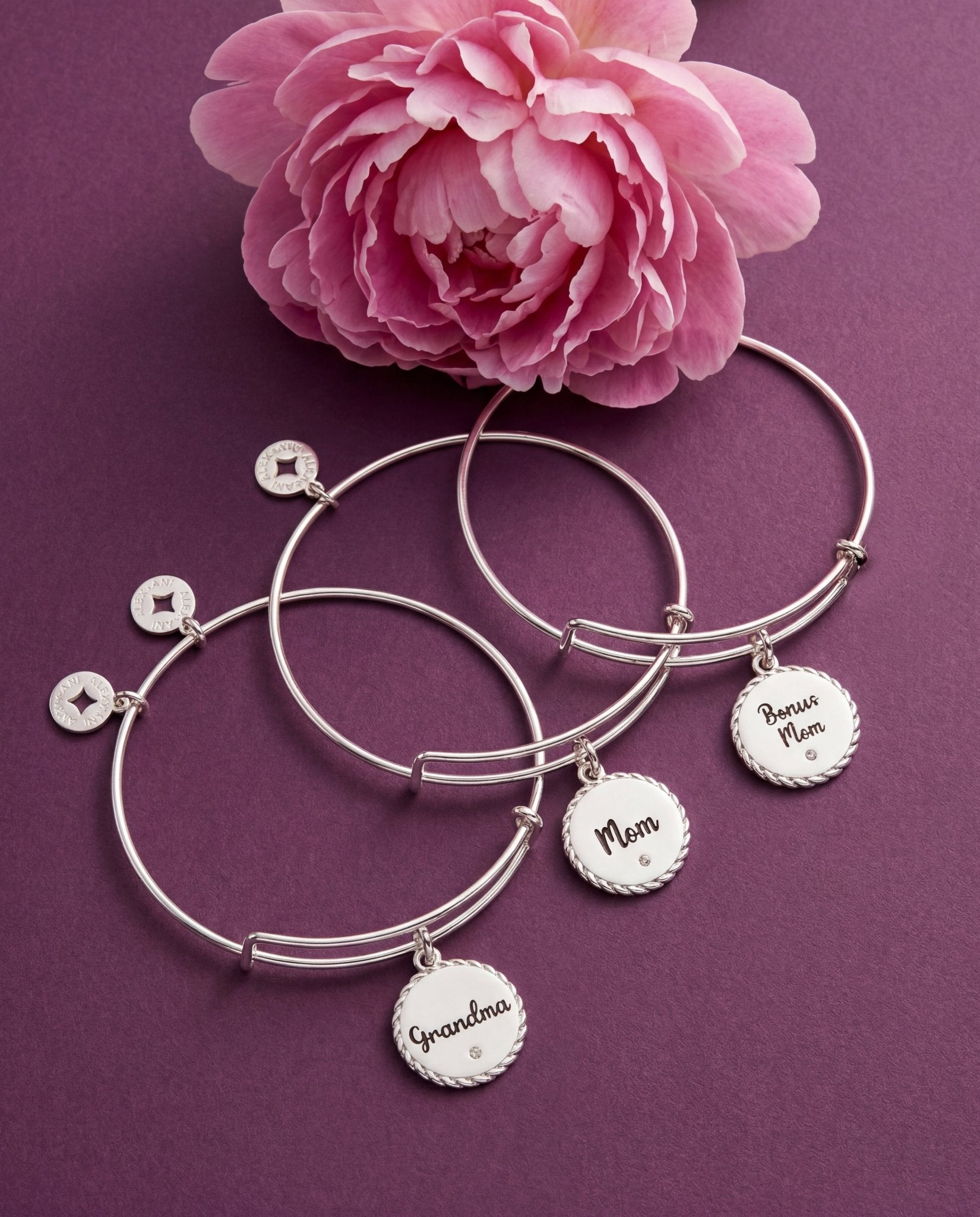 Grandma 'Wise And Warm, Her Love Feels Like Home' Charm Bangle by ALEX AND ANI at Shirley Shoppe