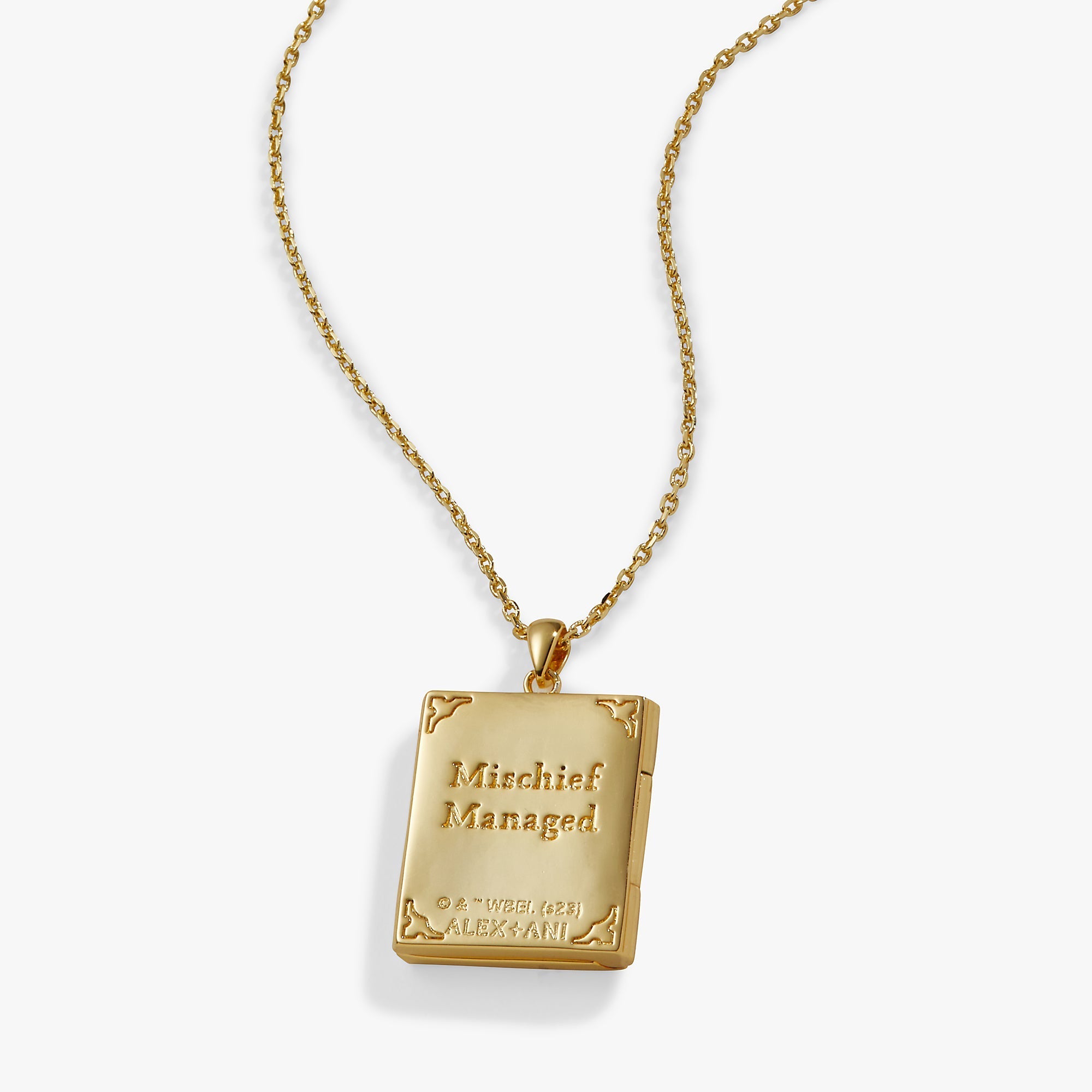 Harry Potter™ Mischief Managed Locket Necklace by ALEX AND ANI at Shirley Shoppe