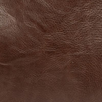 L8008-157