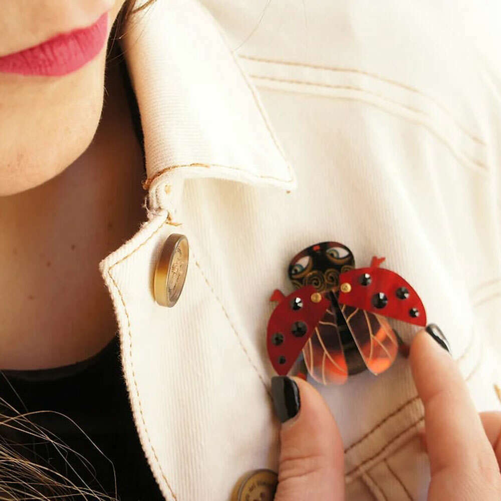 Ladybug Brooch by Laliblue
