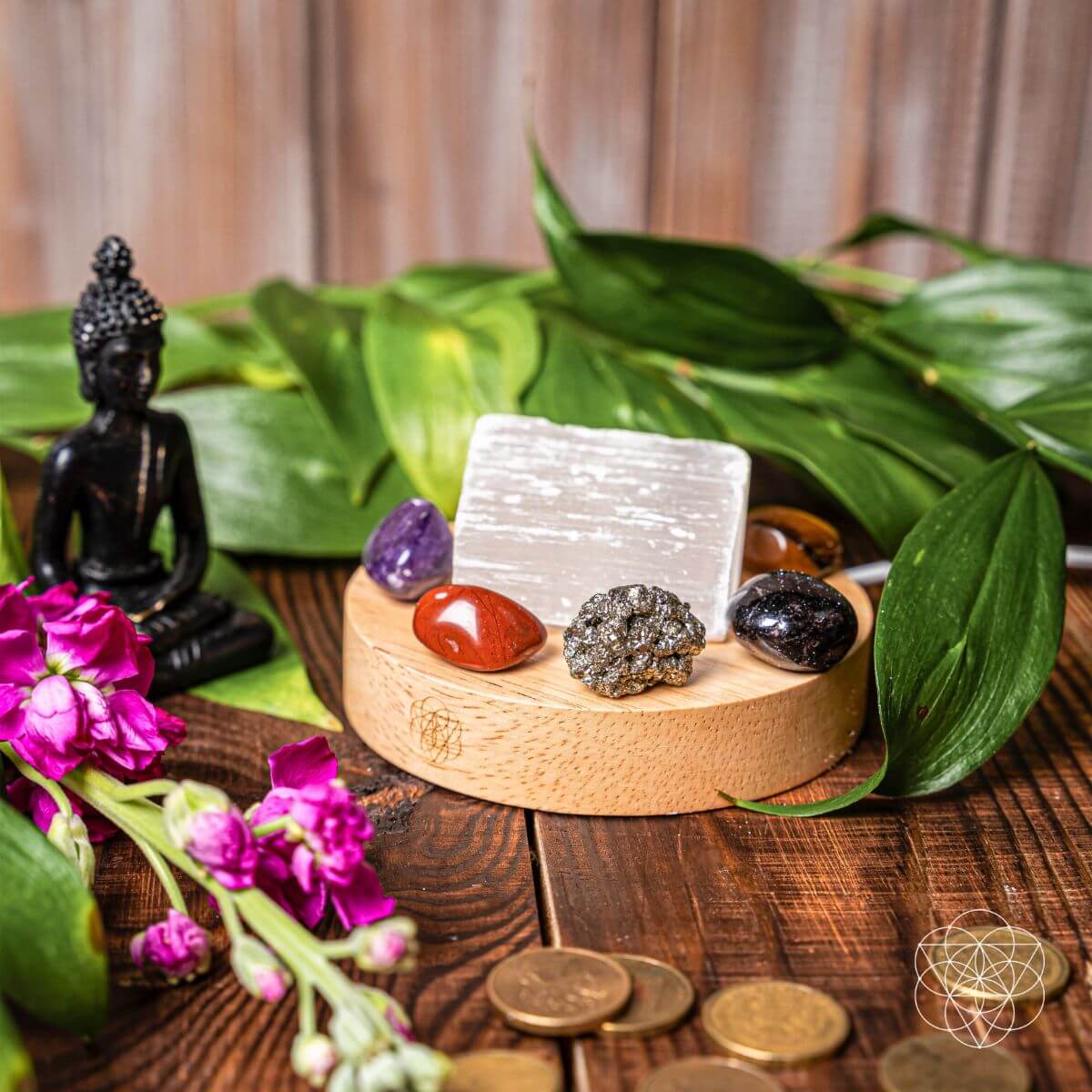 Money-Magnet Lamp by Conscious Items at Shirley Shoppe