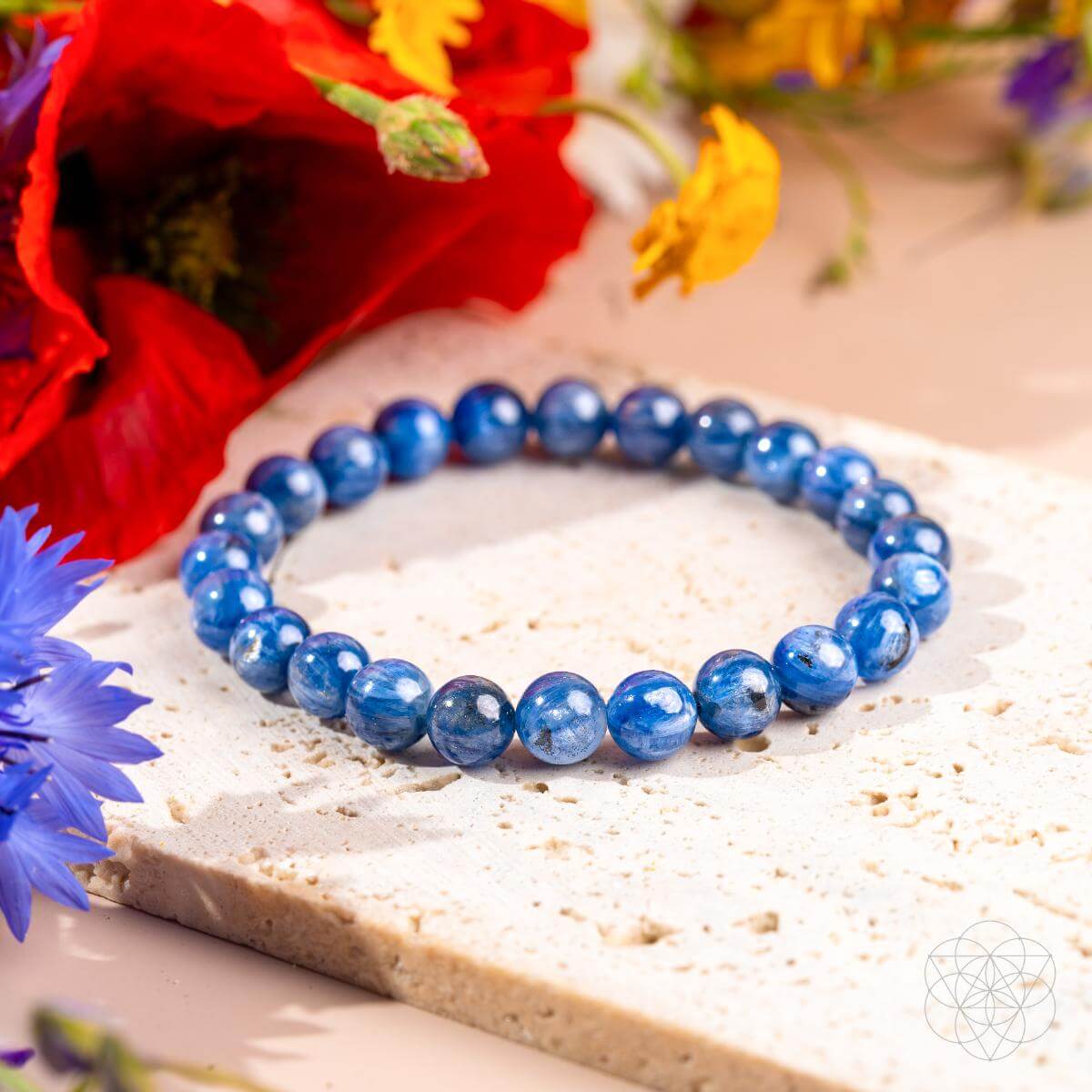 My Truth, My Power – Rare Kyanite Bracelet by Conscious Items at Shirley Shoppe