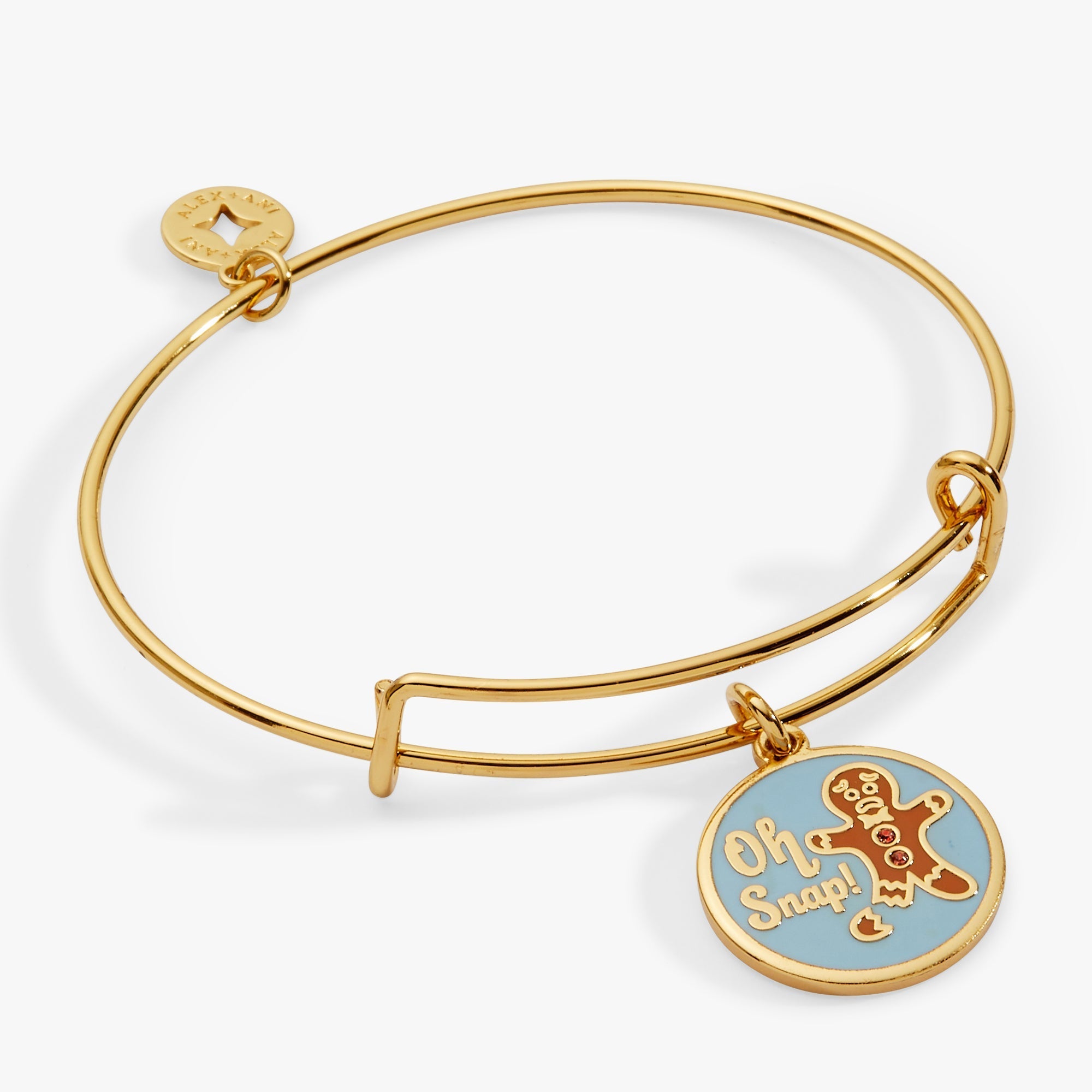 'Oh Snap!' Gingerbread Charm Bangle by ALEX AND ANI at Shirley Shoppe