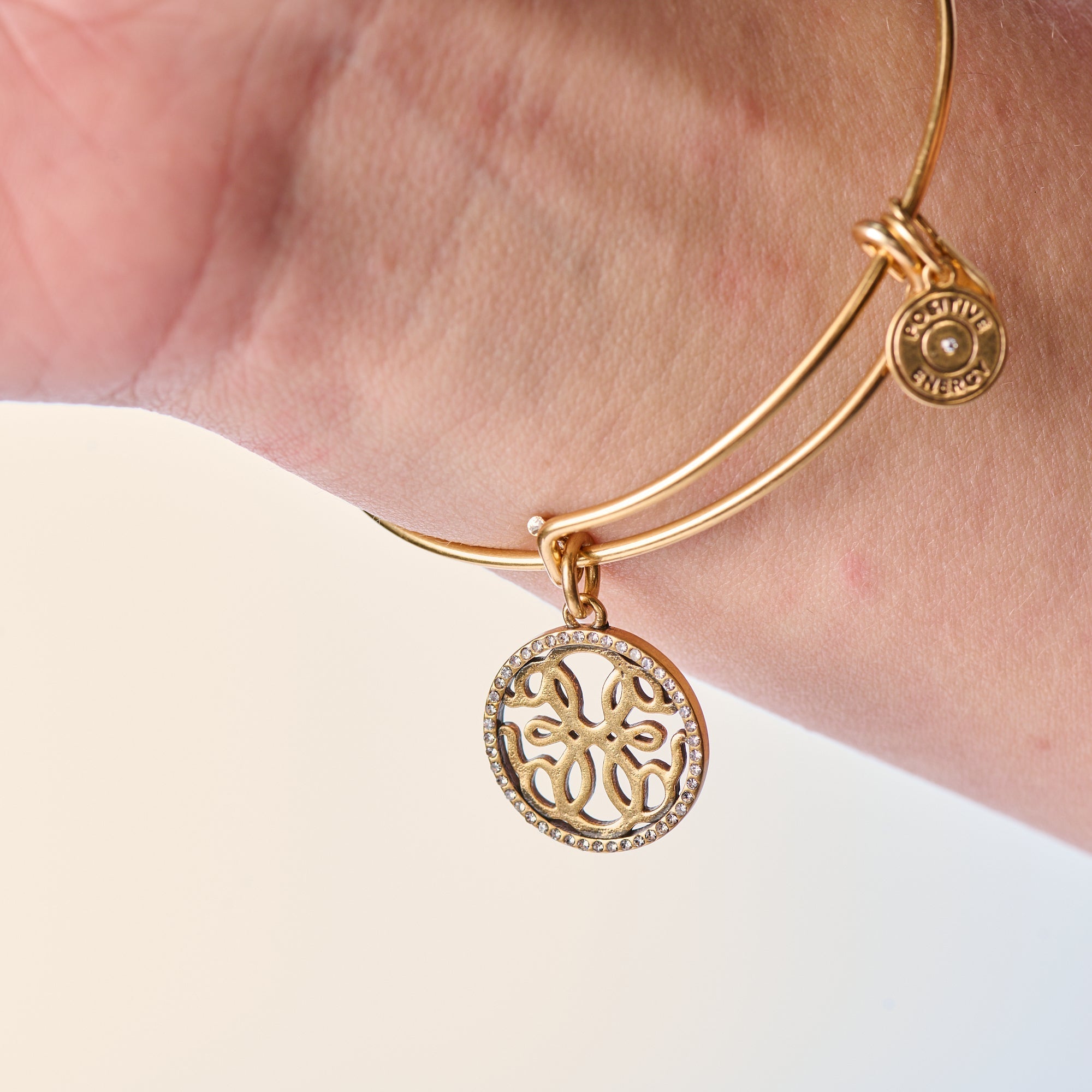 Path of Life Charm Bangle by ALEX AND ANI at Shirley Shoppe